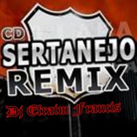 CDS SERTANEJO REMIX 2011 