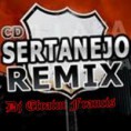 CDS SERTANEJO REMIX 2011 